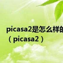 picasa2是怎么样的软件（picasa2）