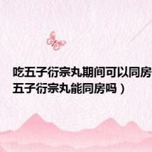 吃五子衍宗丸期间可以同房吗(吃五子衍宗丸能同房吗)