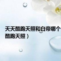 天天酷跑天照和白帝哪个(天天酷跑天照)