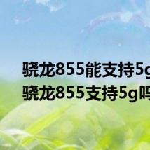 骁龙855能支持5g吗(骁龙855支持5g吗)