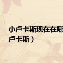 小卢卡斯现在在哪（小卢卡斯）