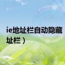 ie地址栏自动隐藏（ie地址栏）