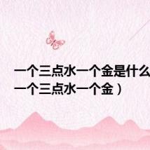 一个三点水一个金是什么字啊(一个三点水一个金)