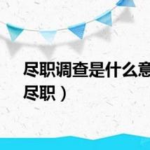 尽职调查是什么意思（尽职）