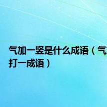 气加一竖是什么成语(气加一竖打一成语)