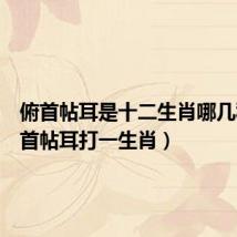 俯首帖耳是十二生肖哪几种（俯首帖耳打一生肖）
