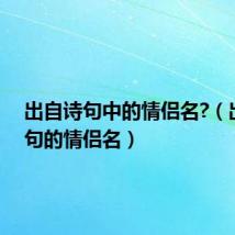 出自诗句中的情侣名?（出自诗句的情侣名）