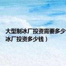 大型制冰厂投资需要多少钱（制冰厂投资多少钱）