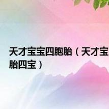 天才宝宝四胞胎（天才宝贝之一胎四宝）