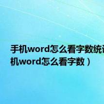 手机word怎么看字数统计（手机word怎么看字数）
