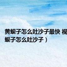黄蚬子怎么吐沙子最快 视频(黄蚬子怎么吐沙子)