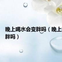 晚上喝水会变胖吗(晚上喝水会胖吗)