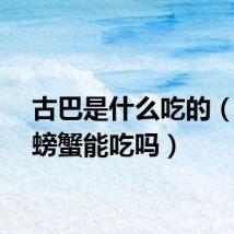古巴是什么吃的（古巴螃蟹能吃吗）