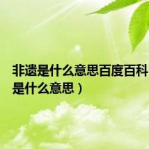 非遗是什么意思百度百科（非遗是什么意思）