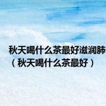 秋天喝什么茶最好滋润肺去火气(秋天喝什么茶最好)