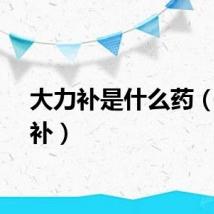 大力补是什么药（大力补）