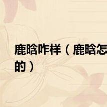 鹿晗咋样（鹿晗怎么火的）