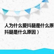 人为什么爱抖腿是什么原因(爱抖腿是什么原因)