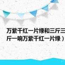 万紫千红一片绿和三斤三两(3斤一响万紫千红一片绿)