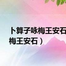 卜算子咏梅王安石（咏梅王安石）