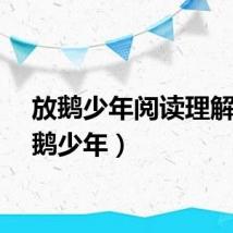 放鹅少年阅读理解（放鹅少年）