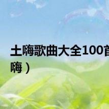 土嗨歌曲大全100首（土嗨）