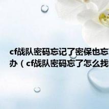 cf战队密码忘记了密保也忘了怎么办(cf战队密码忘了怎么找回)