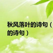 秋风落叶的诗句（落叶的诗句）