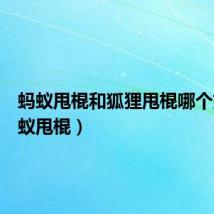 蚂蚁甩棍和狐狸甩棍哪个好(蚂蚁甩棍)