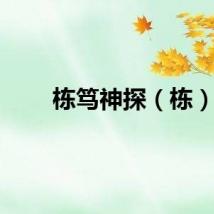 栋笃神探（栋）