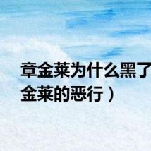 章金莱为什么黑了（章金莱的恶行）