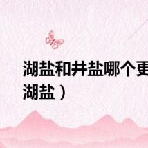 湖盐和井盐哪个更好（湖盐）