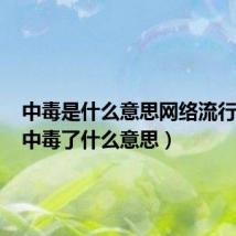 中毒是什么意思网络流行语言(中毒了什么意思)