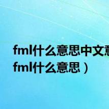 fml什么意思中文意思(fml什么意思)