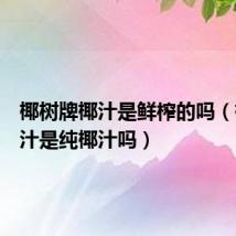 椰树牌椰汁是鲜榨的吗(椰树椰汁是纯椰汁吗)