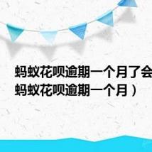 蚂蚁花呗逾期一个月了会怎样(蚂蚁花呗逾期一个月)