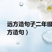 远方造句子二年级（远方造句）