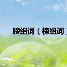 膀组词（榜组词）