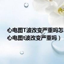 心电图T波改变严重吗怎么办(心电图t波改变严重吗)