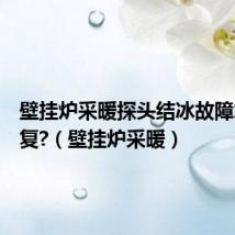 壁挂炉采暖探头结冰故障怎么恢复?(壁挂炉采暖)