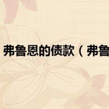 弗鲁恩的债款（弗鲁恩）
