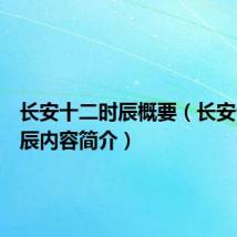 长安十二时辰概要(长安十二时辰内容简介)