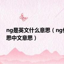 ng是英文什么意思(ng什么意思中文意思)