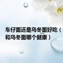 车仔面还是乌冬面好吃(车仔面和乌冬面哪个健康)