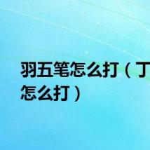 羽五笔怎么打（丁五笔怎么打）