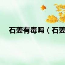 石姜有毒吗（石姜）