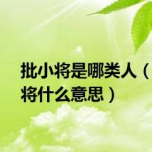 批小将是哪类人（批小将什么意思）