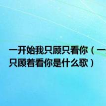 一开始我只顾只看你(一开始我只顾着看你是什么歌)