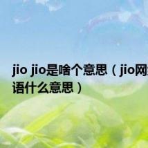 jio jio是啥个意思(jio网络流行语什么意思)