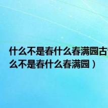 什么不是春什么春满园古诗(什么不是春什么春满园)